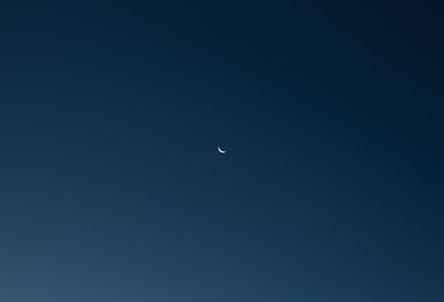 Black bird flying through the blue sky during the day
